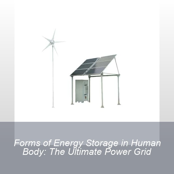 Forms of Energy Storage in Human Body: The Ultimate Power Grid